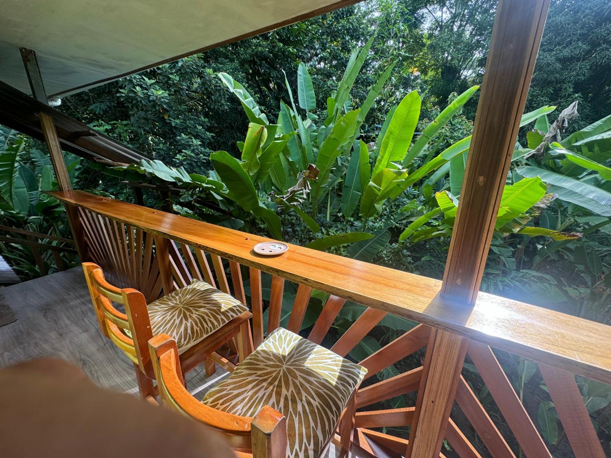 Chilamate Room 2 Tortuguero Exteriör bild